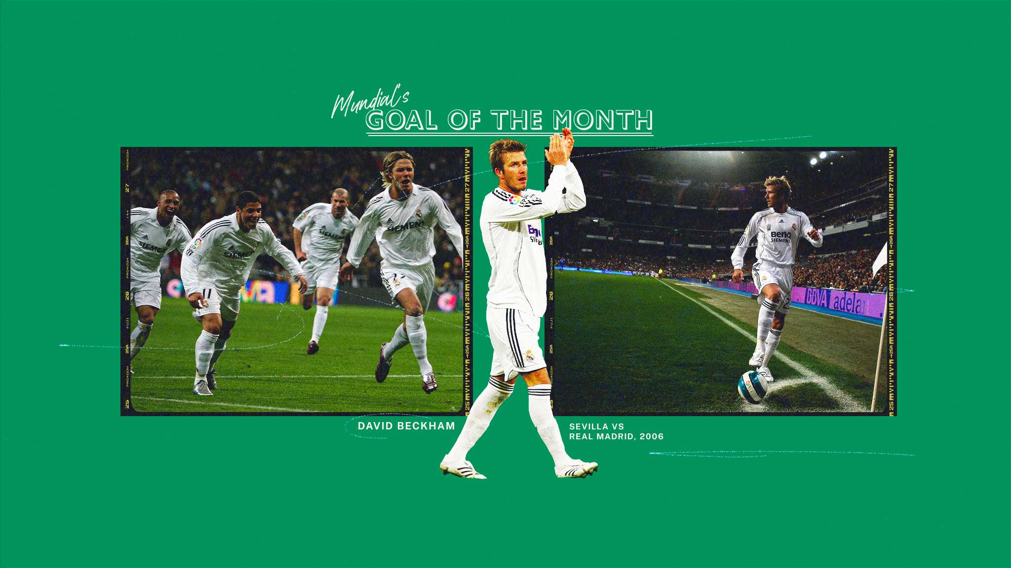 走进这场盛 走进这场盛